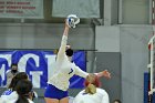 VB vs ENC  Wheaton College Women's Volleyball vs Eastern Nazarene College. - Photo By: KEITH NORDSTROM : Wheaton, volleyball, VB, Eastern Nazarene College